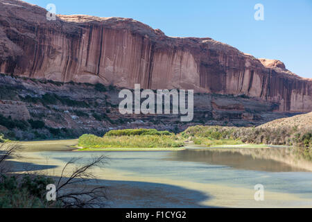 Red rock canyon of the Colorado River seen from Route 128 in Utah north of Moab Stock Photo