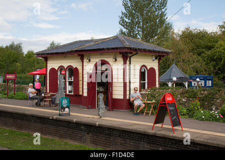 The Warmley's Waiting Room Cafe have come up with an innovative solution for their toilet by using a Doctor Who “Tardis” Stock Photo