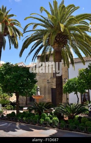 Plaza San Andres in Cordoba, Andalusia, Spain Stock Photo