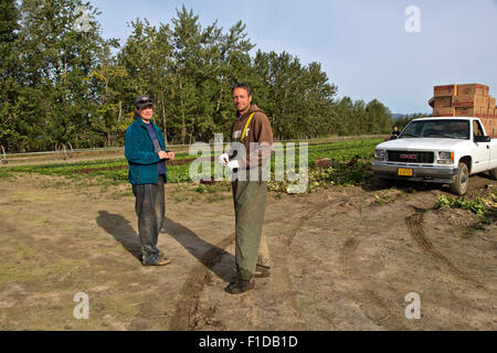 Young farmers in the field after 'Red Leaf' lettuce harvest. Stock Photo