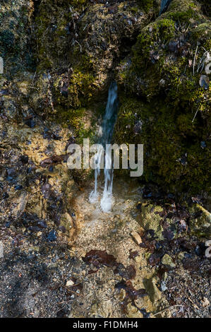 Stream running onto rock pool on mossy bank Stock Photo