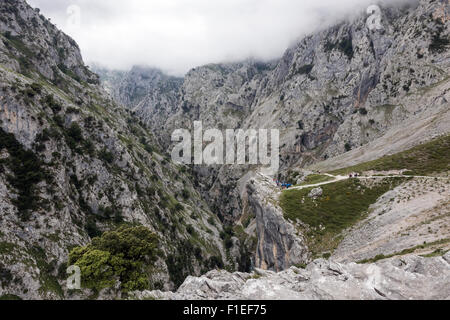 The Cares Gorge near Poncebos in the Picos de Europa national park Stock Photo