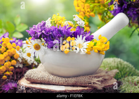 Mortar with healing herbs and wild flowers. Herbal medicine. Stock Photo