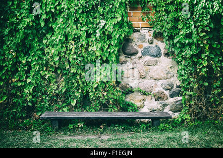 Wooden bench near old stone wall covered with ivy leaves Stock Photo