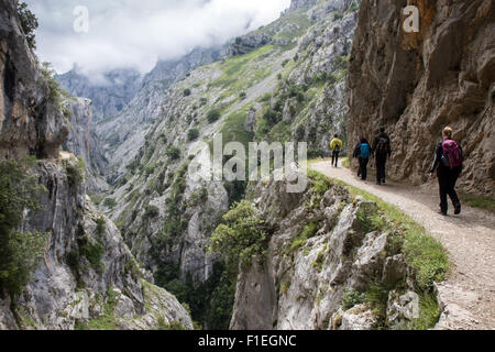 Walkers on the trail through the Cares Gorge near Poncebos in the Picos de Europa national park Stock Photo