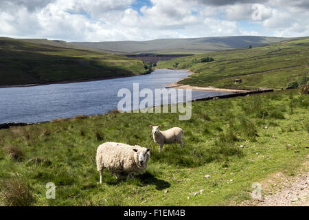 Scar House Reservoir, Nidderdale, North Yorkshire, England, UK Stock Photo