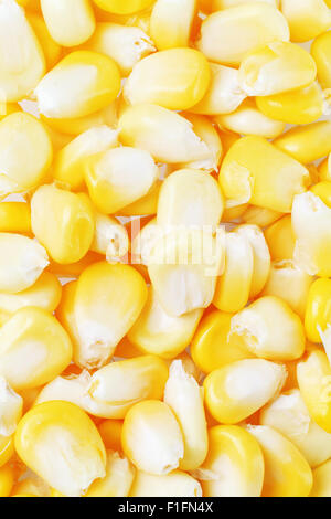 Fresh Sweet Corn Kernels Background Stock Photo