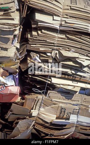CARDBOARD BOXES COLLAPSED AND BUNDLED READY FOR RECYCLING, WESTERN AUSTRALIA Stock Photo