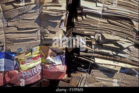 CARDBOARD BOXES COLLAPSED AND BUNDLED READY FOR RECYCLING, WESTERN AUSTRALIA Stock Photo