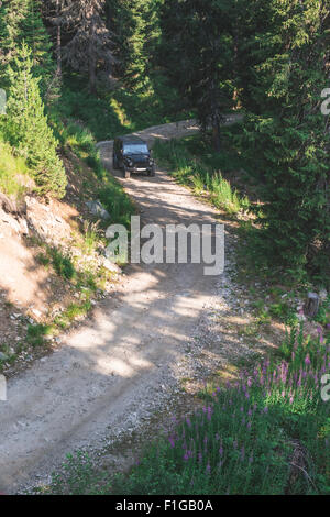 Black offroad car on a mountain road. Inside the green forest. Stock Photo