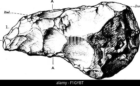 This 1920 archaeological study examines the evolution of prehistoric ...