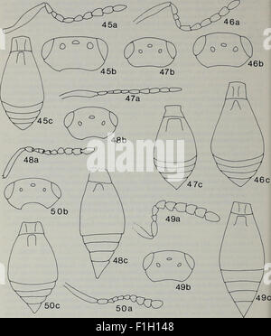 Insect Journal A journal from 1984 focusing on entomology Stock Photo - Alamy