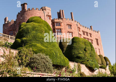 Powis Castle gardens, Welshpool, Wales, UK. This 17c Baroque garden is famous for its huge ancient topiary yew trees and hedges Stock Photo