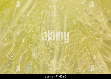 Closeup of the texture of sliced lime in the water with bubbles Stock Photo