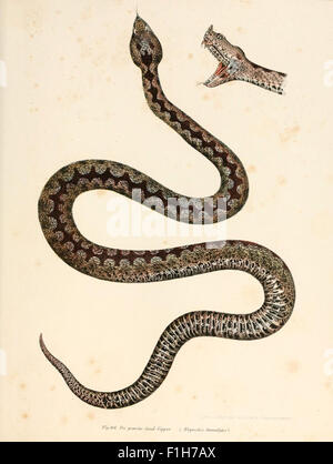 This illustrated atlas focuses on the scientific and popular study of ...