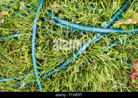 Top view of plastic garden hose lying on green grass. Stock Photo