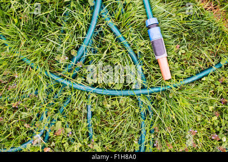 Top view of plastic garden hose lying on green grass. Stock Photo