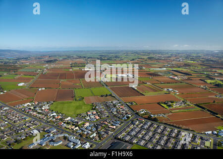 Housing development and market gardens, Pukekohe, South Auckland, North Island, New Zealand - aerial Stock Photo