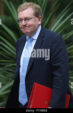 London, UK, 14th July 2015: David Mundell seen at Downing Street in London Stock Photo