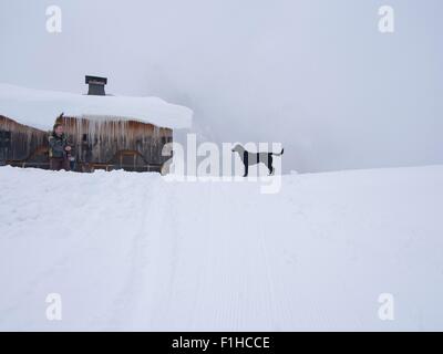 Dog on snow-covered landscape, Flaine, France Stock Photo