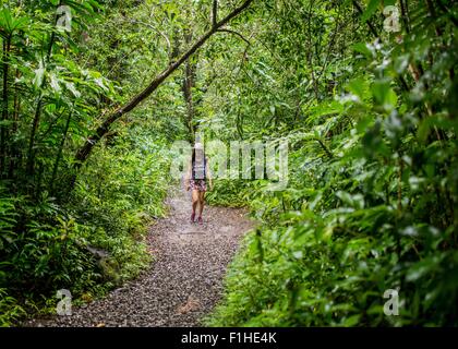 Young female tourist strolling in jungle,  Manoa Falls, Oahu, Hawaii, USA Stock Photo