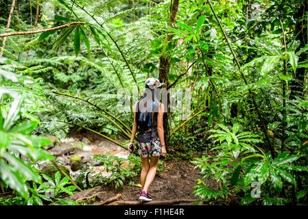 Rear view of young female tourist strolling in jungle,  Manoa Falls, Oahu, Hawaii, USA Stock Photo