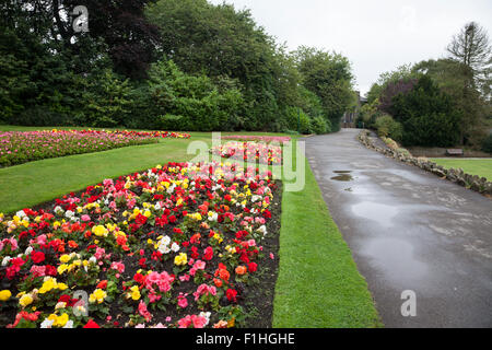 Beds full of late summer flowers on display in Haworth Central Park West Yorkshire flowers in bloom park Stock Photo