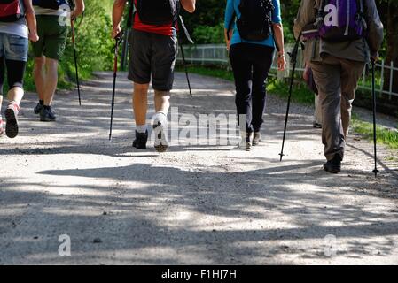Rear waist down view of mature hikers on rural road, Grigna, Lecco, Lombardy, Italy Stock Photo