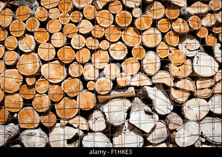 Logs stacked and stored ready to be used Stock Photo