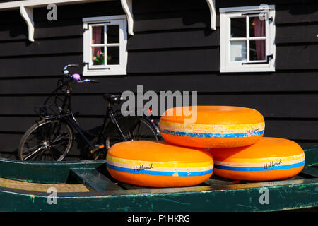 Dutch Cheese wheels on a green cart with farm house in the background Stock Photo