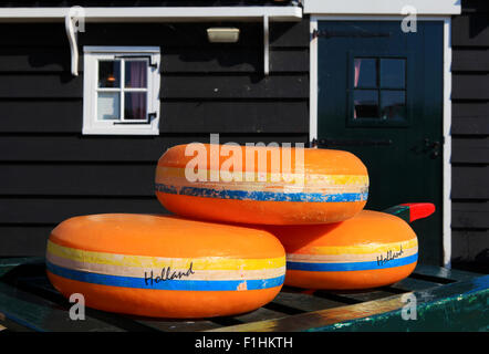 Dutch Cheese wheels on a green cart with farm house in the background Stock Photo