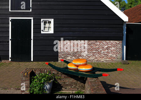 Dutch Cheese wheels on a green cart with farm house in the background Stock Photo