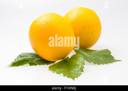 Two oranges isolated on a white background Stock Photo
