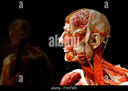 Impressionen - Eroeffnung des "Menschen Museums" mit Plastinaten von menschlichen Koerpern, Alexanderplatz, 17. Februar 2015, Be Stock Photo
