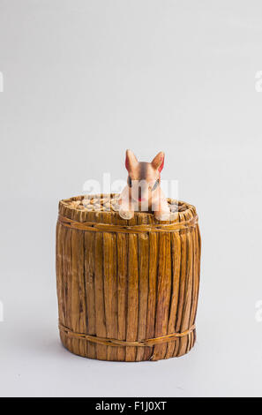 Squirrel in a Box Tissue made from water hyacinth on white backgrounds Stock Photo