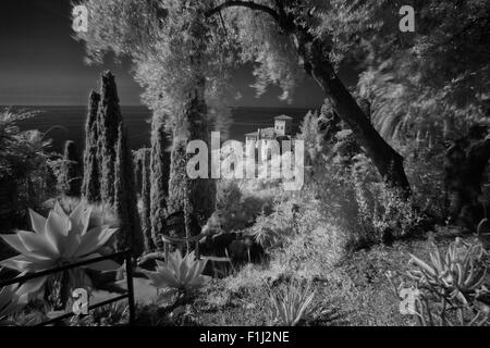 Hanbury Botanical Gardens in Infrared and turned into B&W,Liguria,Italy Stock Photo