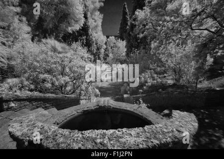 Hanbury Botanical Gardens in Infrared and turned into B&W,Liguria,Italy Stock Photo