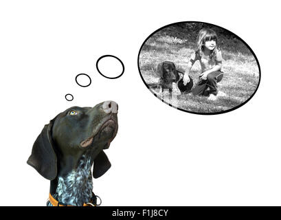 Conceptual image of german short hair pointer dreaming about the fun with his friend Stock Photo