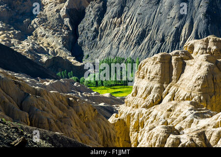 The Moonlands, a special type of yellow rocks, barren landscape, Lamayuru, Jammu and Kashmir, India Stock Photo