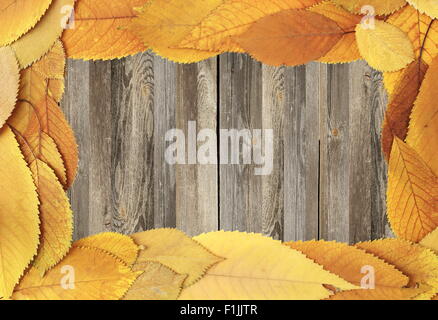 frame made from faded cherry leaves on old table Stock Photo
