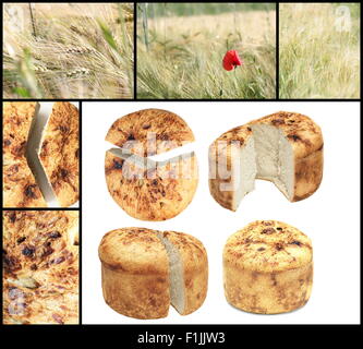 collage with isolated traditional romanian homemade bread and wheat field Stock Photo