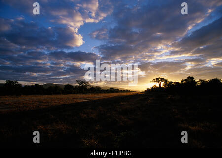 Sunset over Landing Strip at Rural Airport, Lake Kariba Zimbabwe, Africa Stock Photo