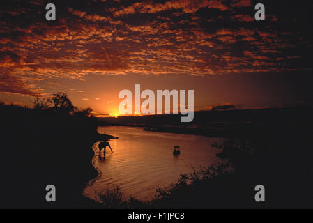 Sunset over Chobe River Botswana, Africa Stock Photo