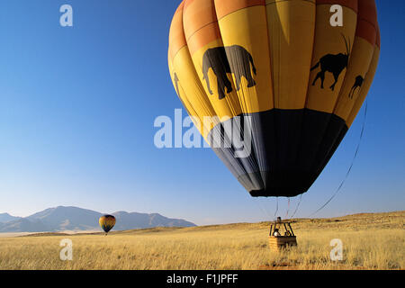 Hot Air Balloons Taking Off Naukluft, Namibia, Africa Stock Photo