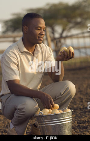 Man in field holding raw potatoes, smiling Stock Photo