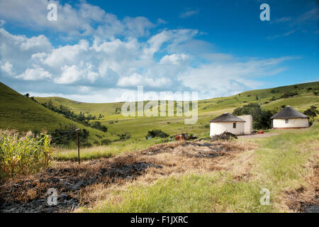Zulu huts, Eshowe Stock Photo