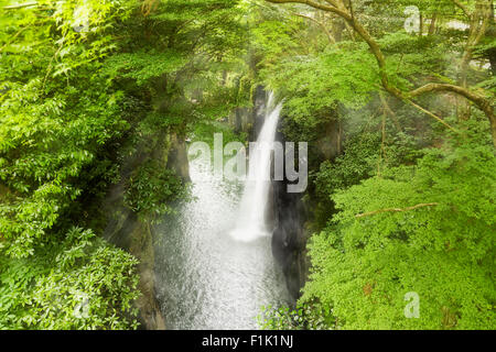 Waterfall in a gorge Stock Photo