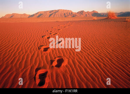 Footprints in Sand Pella, Northern Cape South Africa Stock Photo