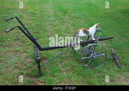 Old Whippletree Seed Drill Tool Stock Photo