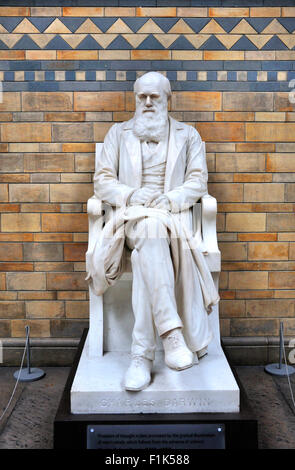 London, England, UK. Natural History Museum, Kensington. Interior. Charles Darwin statue (Sir Joseph Boehm) Stock Photo